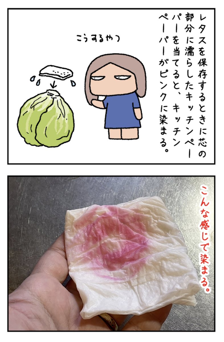 レタスの芯がピンクになる現象を使って染め物ができないかなーと思ったんですよ。

美しきレタス染めの世界 https://t.co/v7no8XZTRt #DPZ 