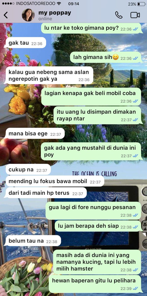 AméEr; TTO Scandal OnGo tweet media