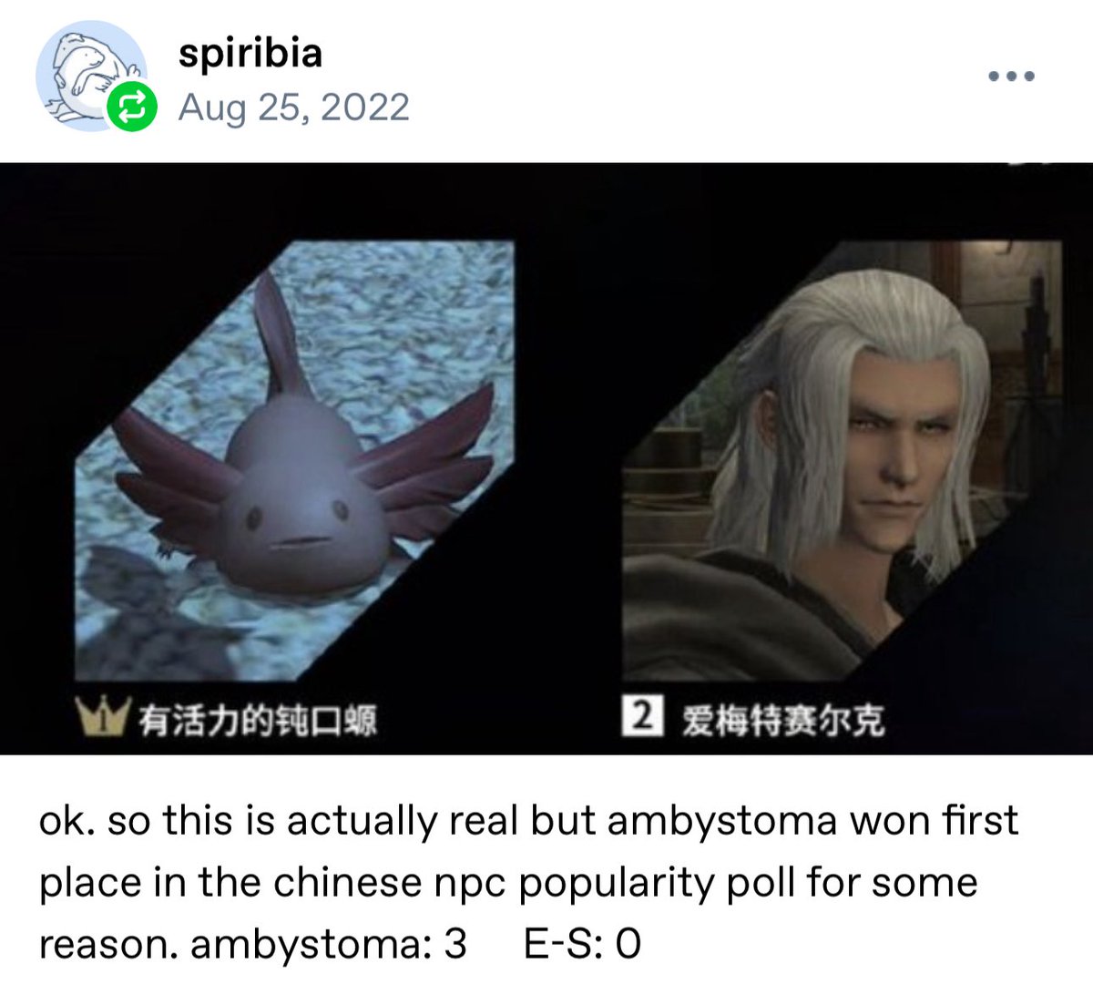 today i was reminded that ambystoma beat emet selch for 1st place in a chinese popularity poll