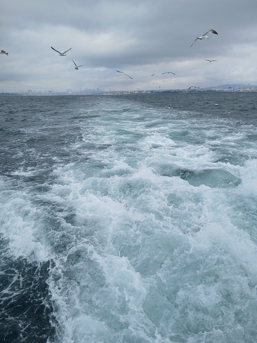 İnsanlar tesadüfen karşılaşmazlar, onları buluşturan Allah'tır.  
Enfal,63.    

Sabahımız hayr, günümüz sağlıklı, kolay ve bereketli geçsin canlar🙋‍♀️