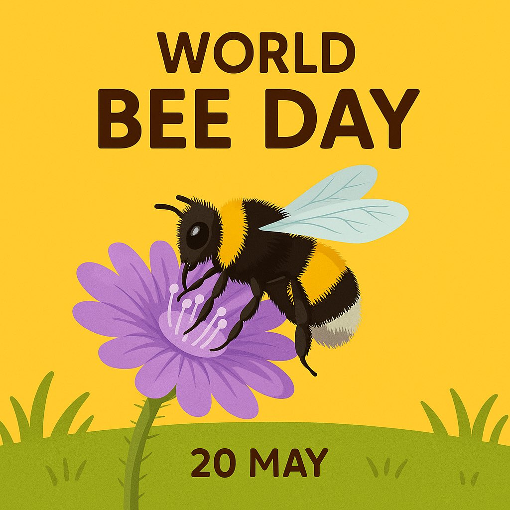 VJSFederation's tweet photo. Happy #WorldBeeDay! Let's celebrate our buzzing friends who play a vital role in pollination and keeping our ecosystems alive. Protect the bees, protect our future! #SaveTheBees #BeeDay #Pollinators https://t.co/uxDZbKud73