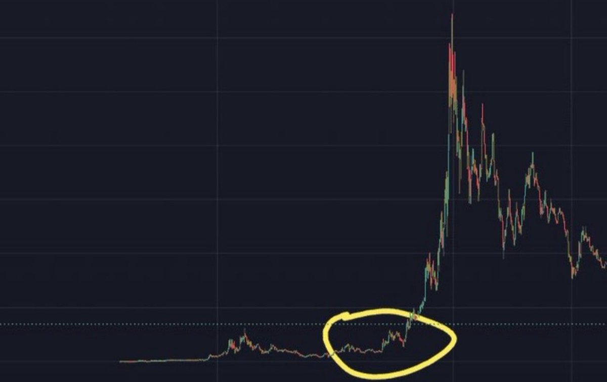 I honestly think XRP is here