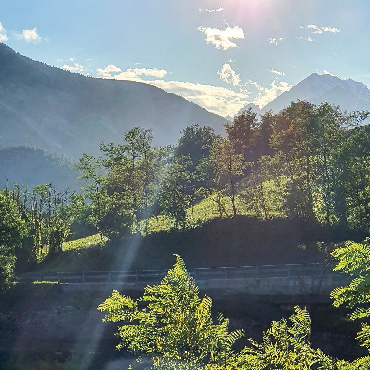 parcoDF's tweet photo. 5 IDEE DI ESCURSIONI ESTIVE SEMPLICI NEL PARCO NATURALE DELLE DOLOMITI FRIULANE
LEGGI IL POST SULLA NOSTRA PAGINA FACEBOOK
https://t.co/lks5uR9a5A

#escursioni #pndf #paesidimontagna #invacanza #concalma https://t.co/RfYQ0GKTWh