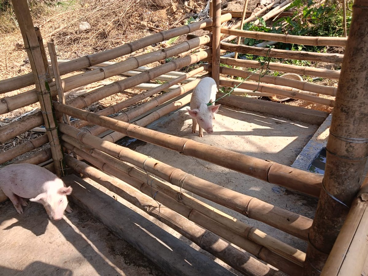 In Tripura, JK Trust serves as a Technical Support Agency for the ‘Animal Resources Development Department’, Government of Tripura under the World Bank funded ‘TRESP’ project.

for more details 👇
bit.ly/3FhoQck