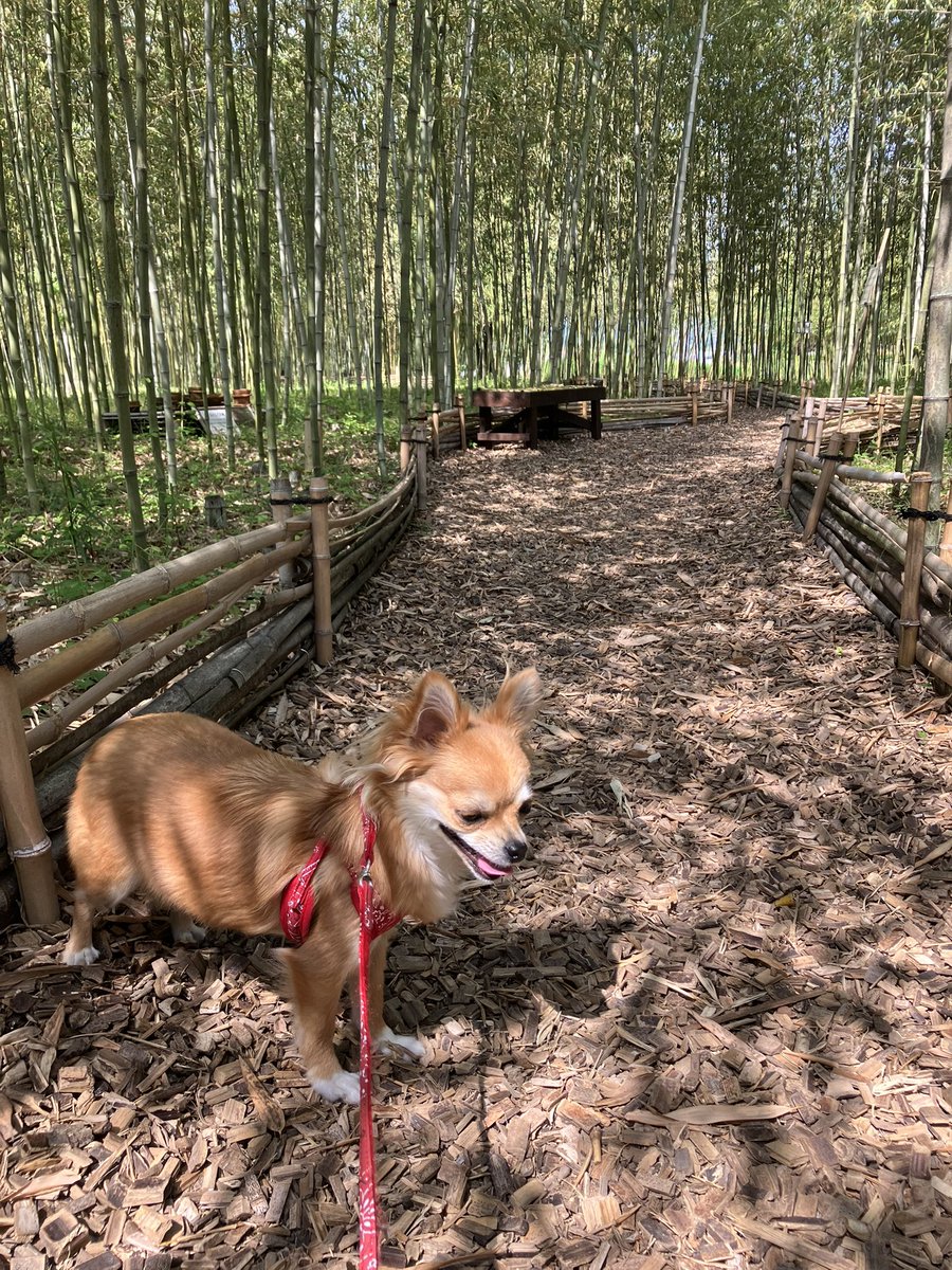 もうかなり暑くなってきてるので、出来るだけ涼やかな場所を探してあげなきゃですね