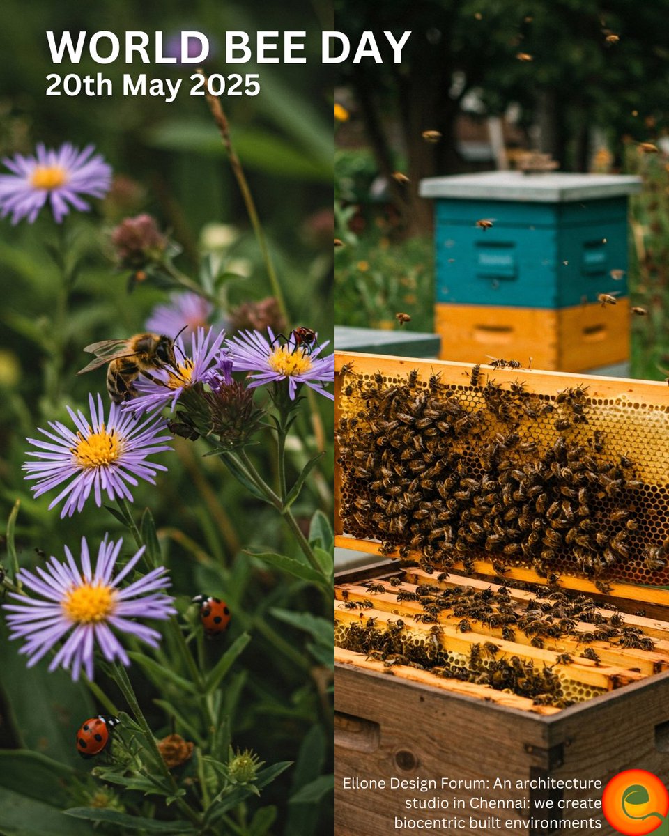 Our fate is intertwined with their wings! Pollinators are vital for 90% of wild plants &amp; 75% of our food crops. Let's embrace biocentric architecture in cities to create pollinator havens. Our future depends on them! #WorldBeeDay #Pollinators #Biodiversity 🌎🌻