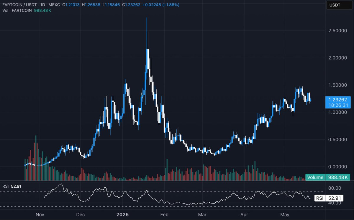 new FARTCOIN ATHs are inevitable

it's hard to be bearish a chart like this when $BTC looks primed for an ATH break

i think we get new BTC ATHs soon

then an explosive move in memecoins likely led by Fartcoin

the longer it spends around this range, the more explosive the move