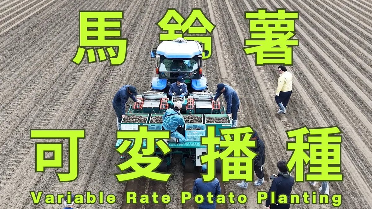 TokaTechCh's tweet photo. 馬鈴薯の可変播種試験2025春in大樹町 が公開されました！

土壌分析から作成した地力マップをもとに、地力に応じて株間を変化させる「可変播種技術」の有効性を検証🧑🏻‍🔬

是非ご覧ください☺️

🎬 https://t.co/8O8TmQRRT5

#スマート農業 #情報技術 #十勝 #企業公式春のフォロー祭り #精密農機 #可変播種 https://t.co/jy2yqnsnQK