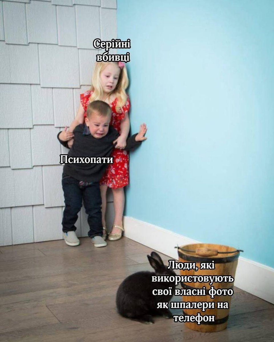 Підводний камінь 🪨 tweet media