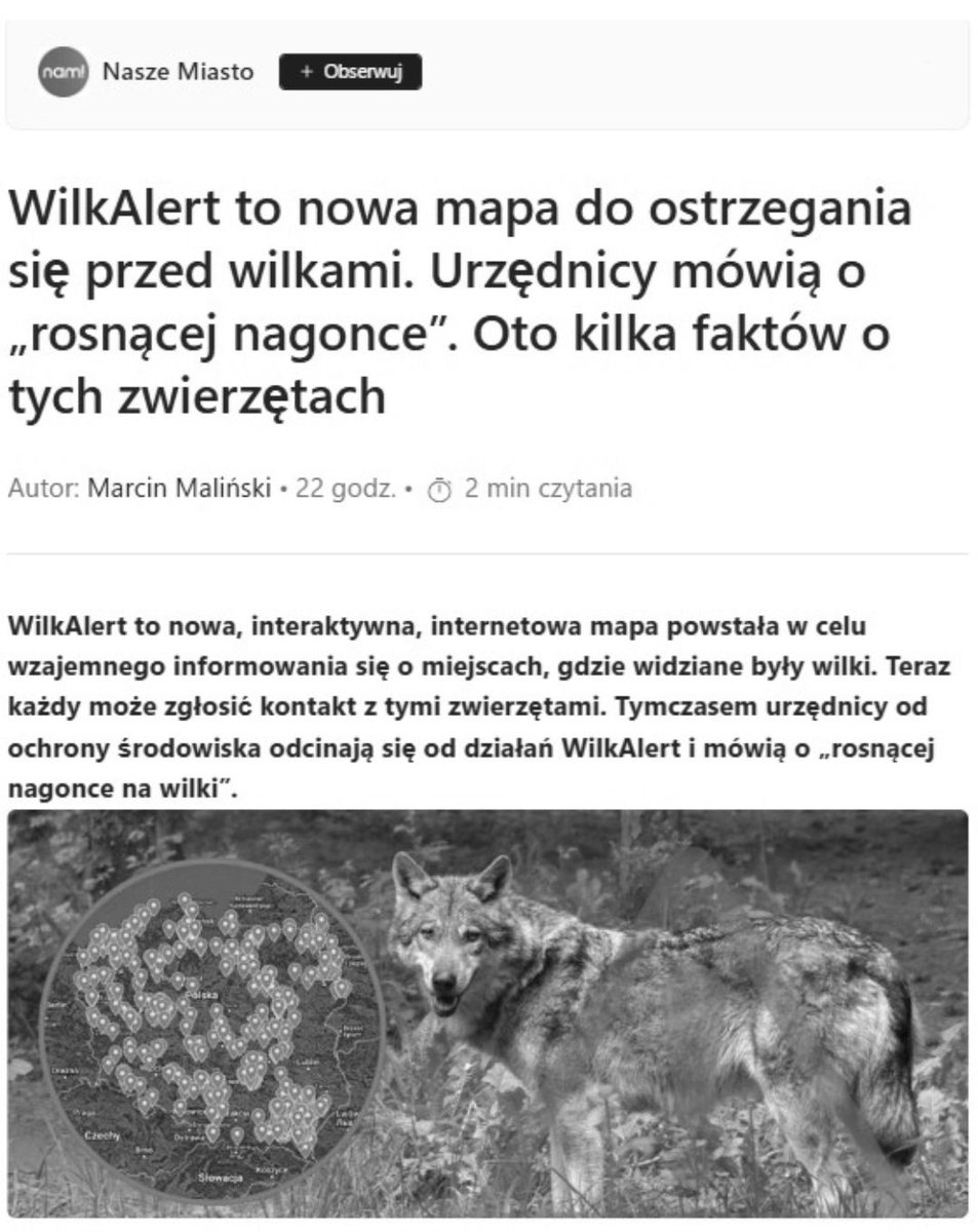 Pracownia Bystra (@pracowniabystra) on Twitter photo 🤔 Co to?
Narzędzie do nakręcania nagonki na #wilki.
Widzisz psa - dajesz.
Ten sam wilk czy 🐕 w kilku miejscach - już.
Ten sam wilk lub pies widziany przez wiele osób - wbijają wszyscy.
#wilkAlert - apka do dezinformacji i straszenia wilkami. 🚨 <a href="/DorozalaMikolaj/">Mikołaj Dorożała</a> <a href="/hennigkloska/">Paulina Hennig-Kloska</a> 🤔 Co to?
Narzędzie do nakręcania nagonki na #wilki.
Widzisz psa - dajesz.
Ten sam wilk czy 🐕 w kilku miejscach - już.
Ten sam wilk lub pies widziany przez wiele osób - wbijają wszyscy.
#wilkAlert - apka do dezinformacji i straszenia wilkami. 🚨 <a href="/DorozalaMikolaj/">Mikołaj Dorożała</a> <a href="/hennigkloska/">Paulina Hennig-Kloska</a>