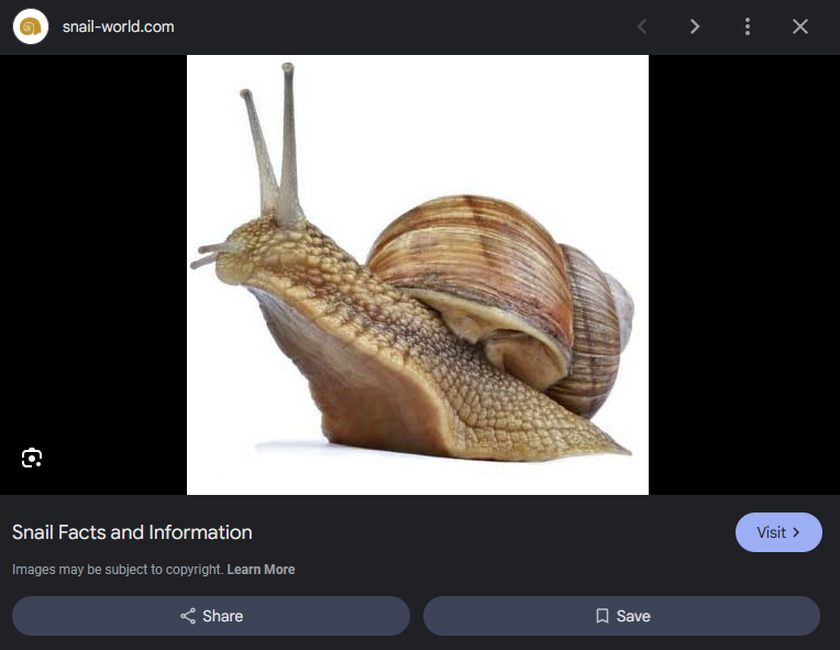 ً𒈒̤ܾ̈ܵܺܽܰ݇ܽܝܢ𒈒 tweet media