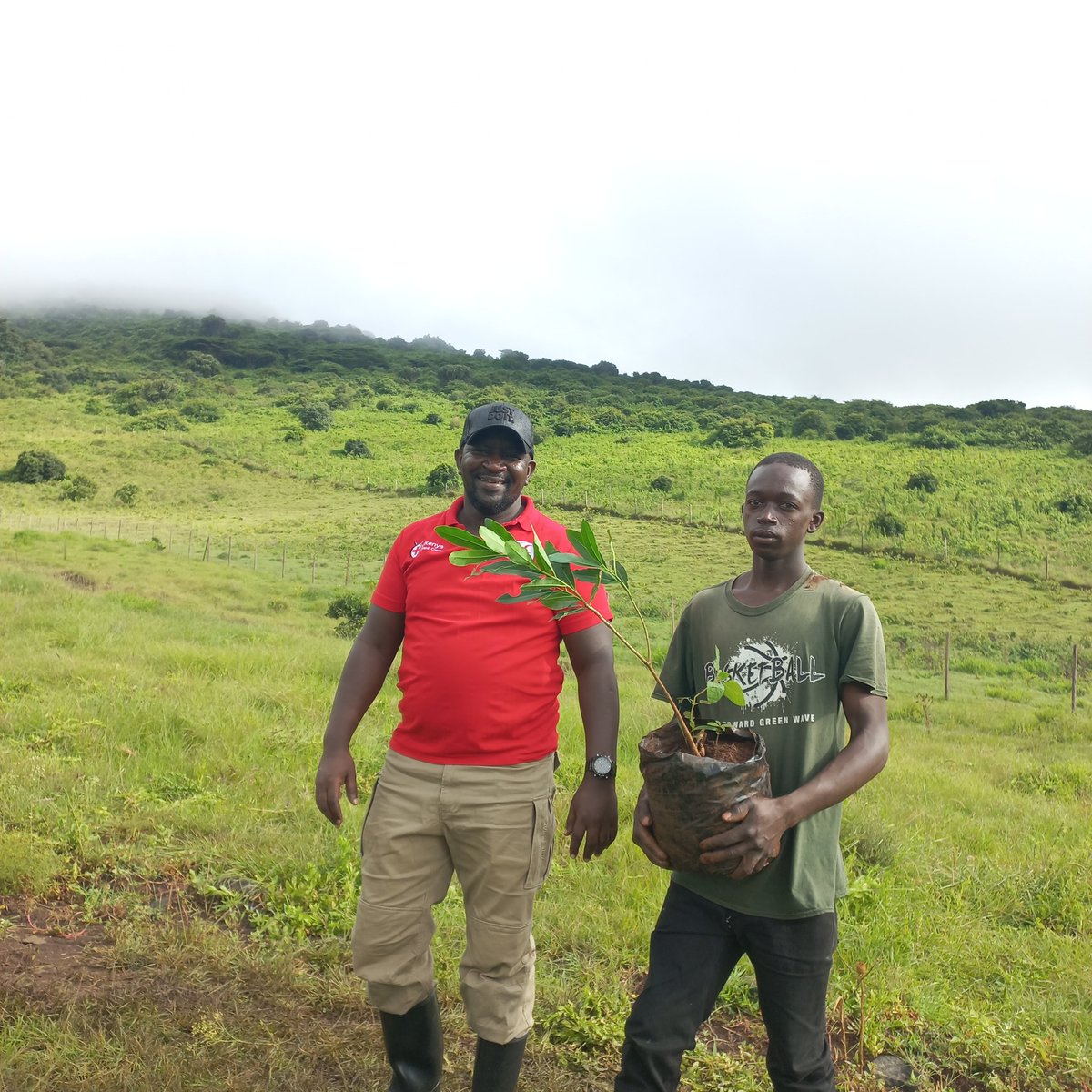 Patrick Elliott (@jpkelliott) on Twitter photo What a fantastic way to start the day. Planting trees with <a href="/KenyaRedCross/">Kenya Red Cross</a> and #EW4ALL partners on the beautiful slopes of Ngong Hills. What a fantastic way to start the day. Planting trees with <a href="/KenyaRedCross/">Kenya Red Cross</a> and #EW4ALL partners on the beautiful slopes of Ngong Hills.