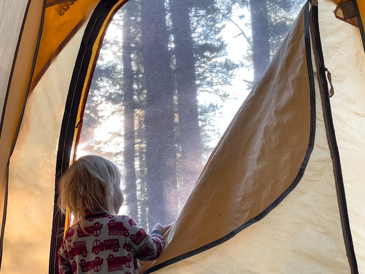 Rocky Tales tweet media