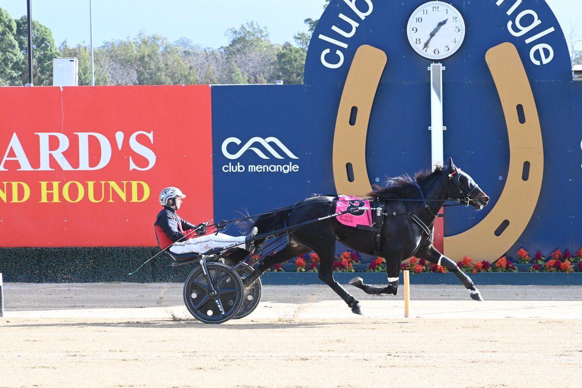 Gladiatrix takes the win in the Wards Accounting Group 2YO Trotters Foundation Heat 3 for D A McDowell, K L McDowell, and Lleyton Green, recording a mile rate of 1:58:4. 🔥 #ClubMenangle