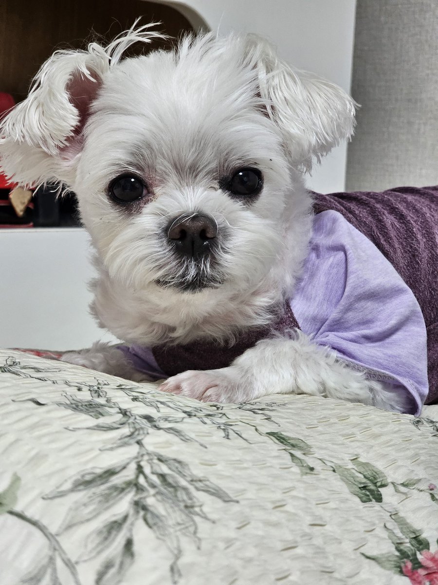 멈머도 잘 있읍니다..