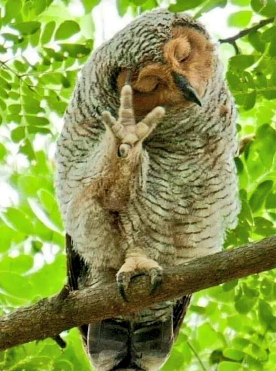 "I said what I said, the matter is closed"