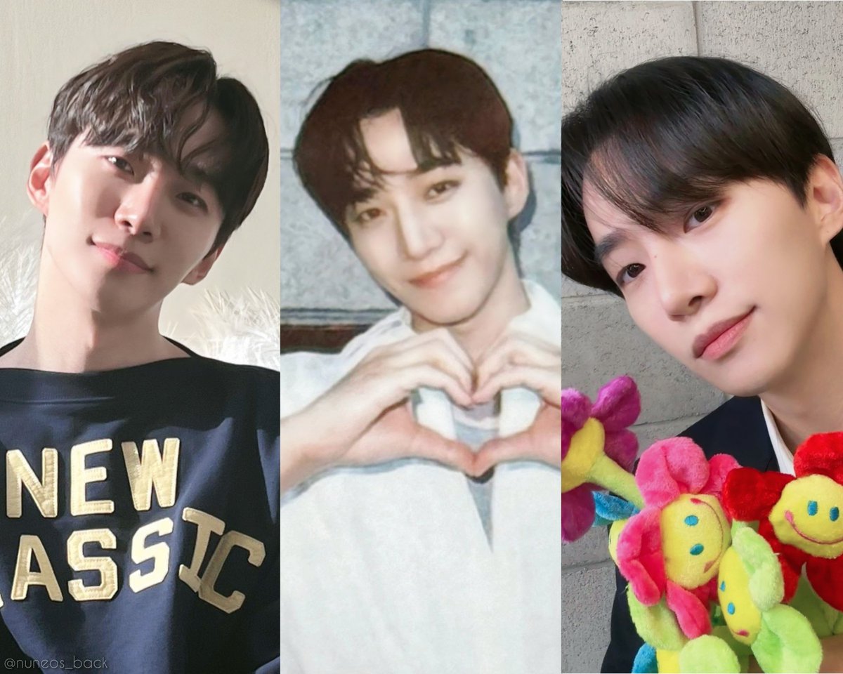 누너의 등 tweet media