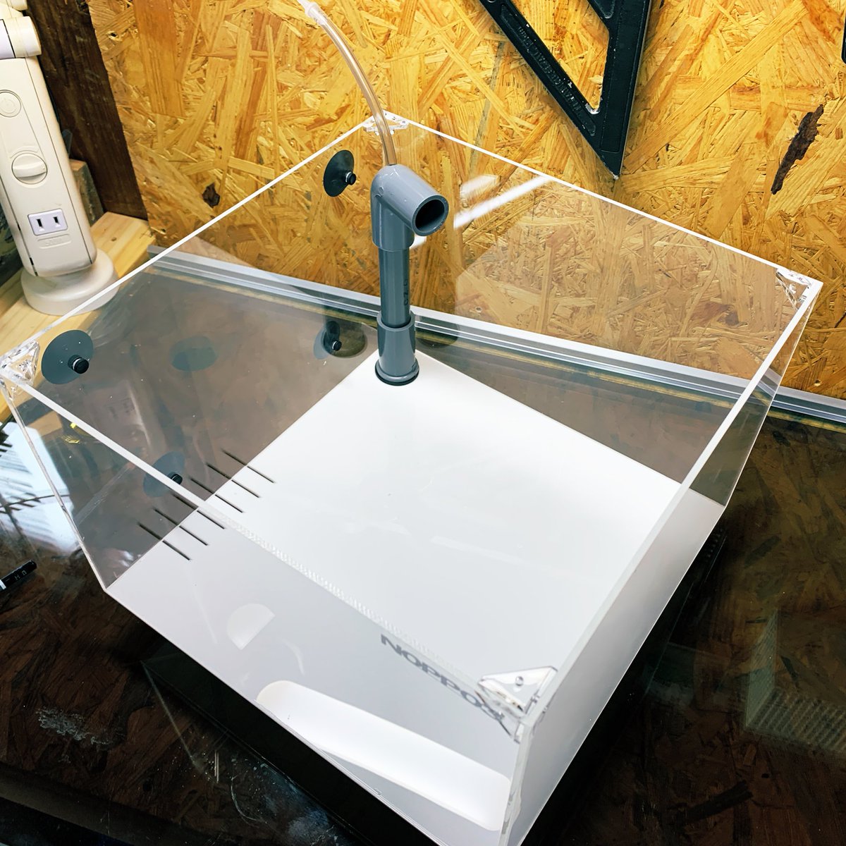 公式】NOPPO3® (@aquaNOPPO3) / Posts / X