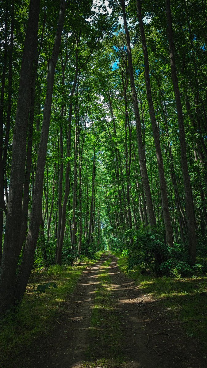 primaevadare's tweet photo. Bună dimineața de pe traseul #primaevadare https://t.co/97o8CxpFIn