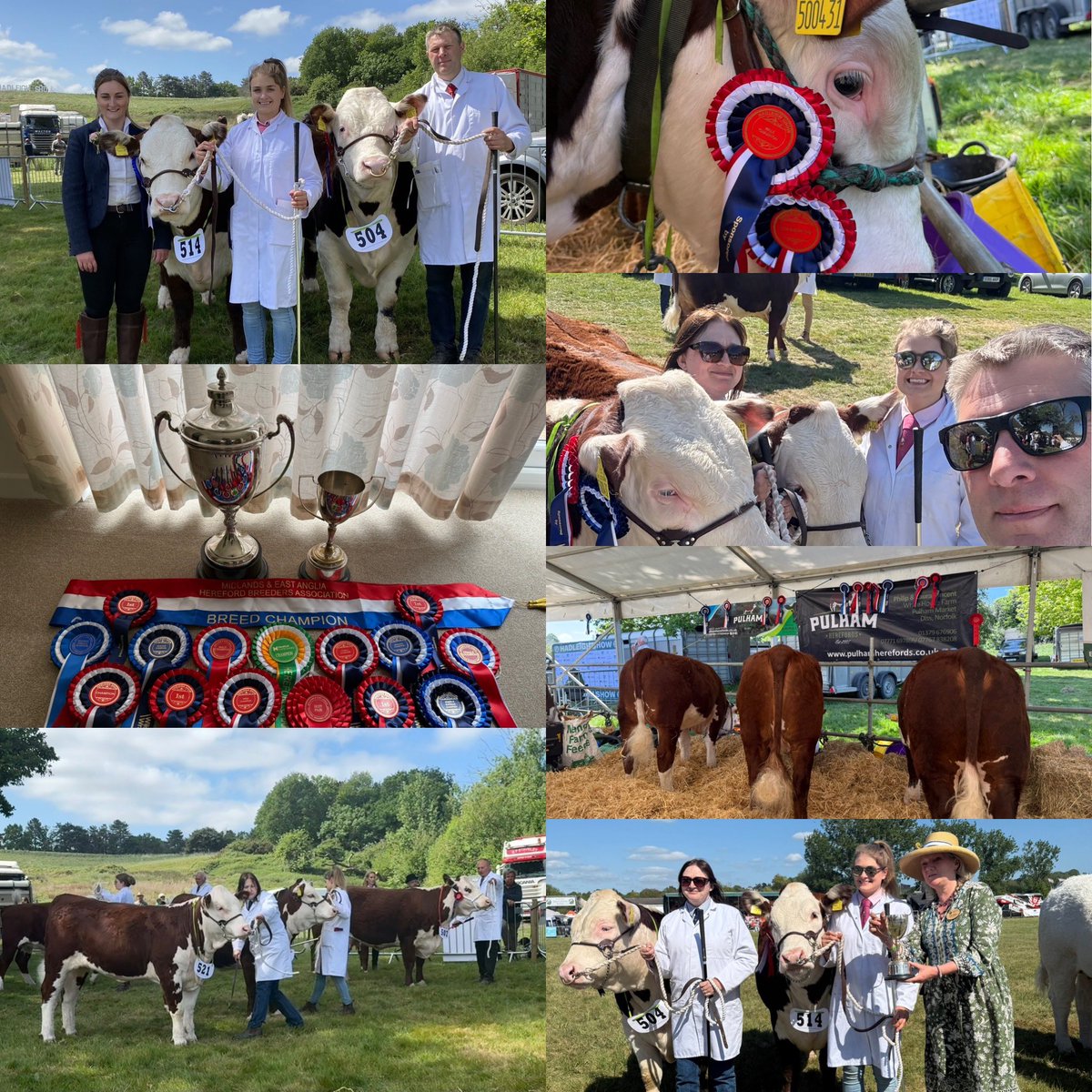 Philip Vincent (@pulhamherefords) on Twitter photo My favourite show of the year didnโt disappoint! <a href="/hadleighshow/">Hadleigh Show</a>
๐ฅBlaze was the star again winning Male Champion, Breed Champion & Reserve Interbreed Champion for a second weekend running.
Pulham Tiara 11th was Female Champion and Reserve Breed Champion. My favourite show of the year didnโt disappoint! <a href="/hadleighshow/">Hadleigh Show</a>
๐ฅBlaze was the star again winning Male Champion, Breed Champion & Reserve Interbreed Champion for a second weekend running.
Pulham Tiara 11th was Female Champion and Reserve Breed Champion.