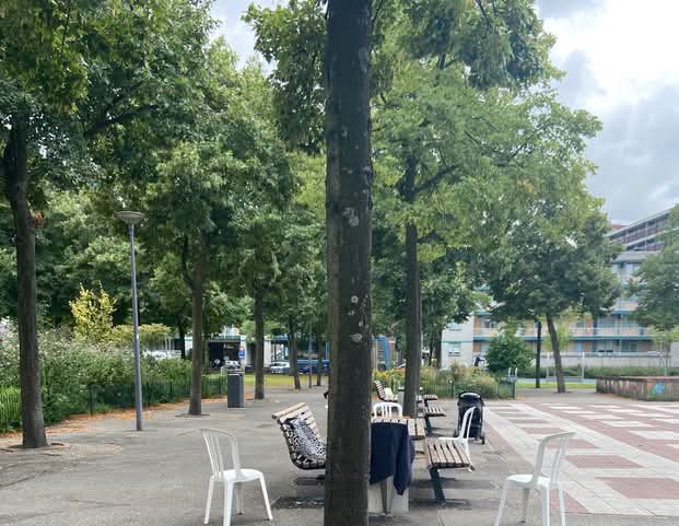 Zondag 25 mei, 11.00 uur TOCHT langs de Krimlindes in #Park1943. Info 📲: degroeneagenda.nl/site/event/de-…. Aanmelden niet nodig/gratis. Hieke Pars (beeldend kunstenaar) vertelt over gebruiken en tradities van de Linde en over de oorsprong van de naam Krimlinde + kopje lindebloesemthee.