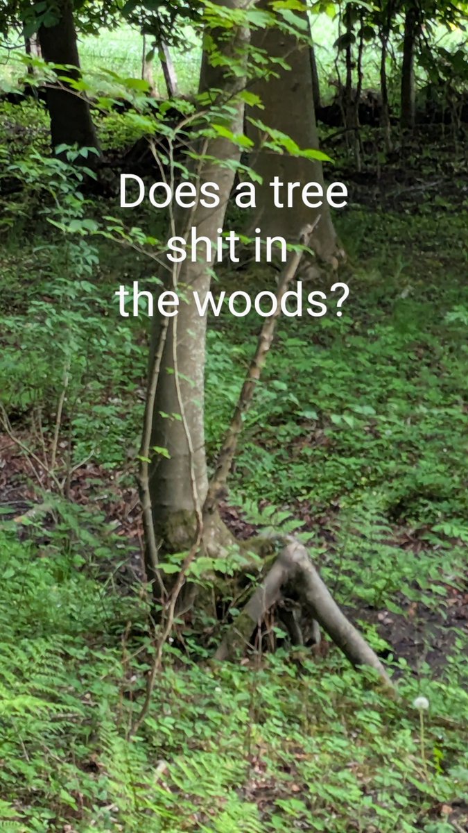 Jay Miles tweet media