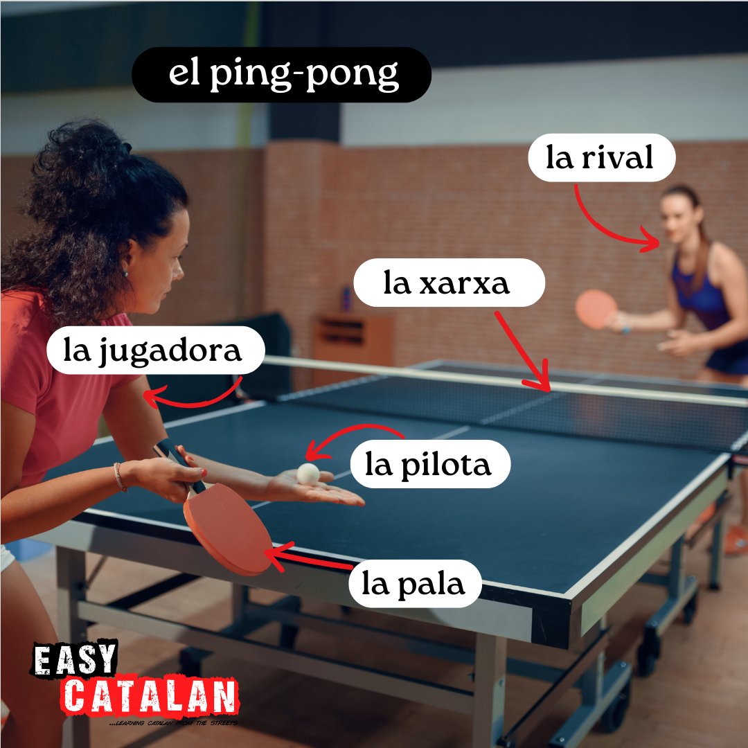 Quin és el teu esport preferit? 🏓

VOCABULARI 📝
la jugadora / jugadora / player
la xarxa / red / net
la pilota / pelota / ball
la pala / pala / paddle
la rival / rival / rival
