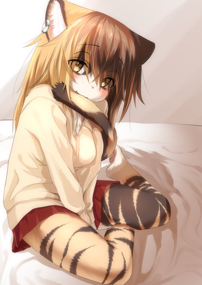 再掲
この三毛猫ちゃん好き!と言っていただいたので☺️ 