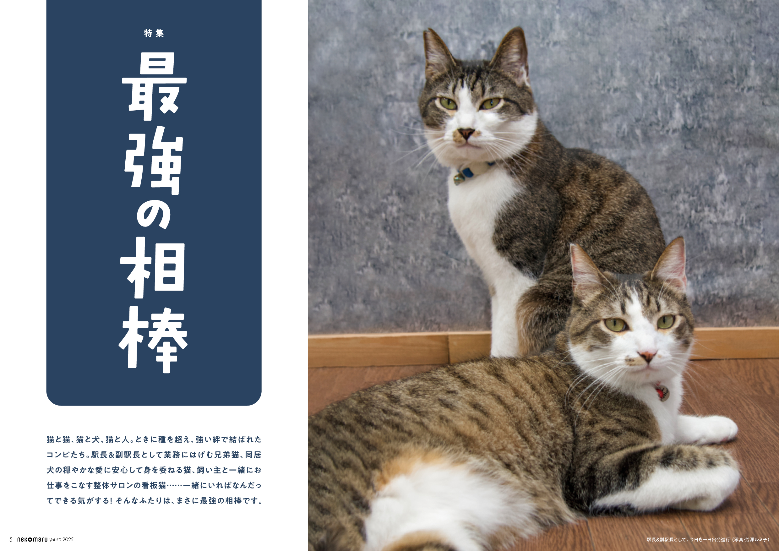 Zuttto Kimama Neko Cat Photo Picture Art Book 96 Pages Soft
