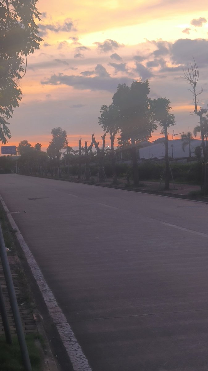 喜欢小狗 tweet media