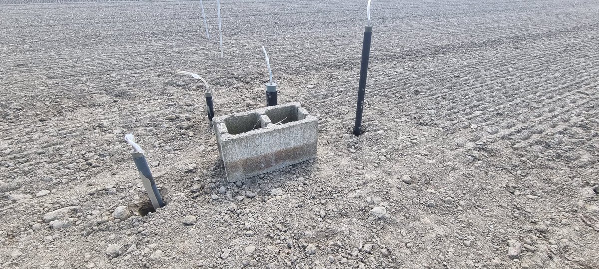 PROMEDRICE_PRIMA tweet media