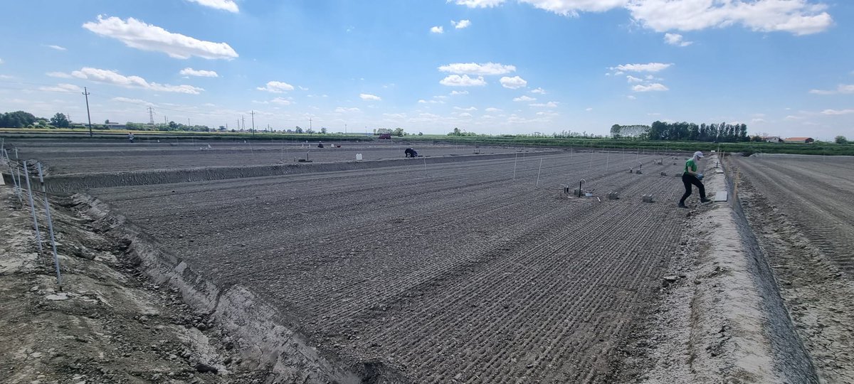 Ceramic cups at 15 and 70 cm depth were installed at <a href="/EnteRisi/">ENTE NAZIONALE RISI</a> experimental plots before pre-emergence herbicide treatment.

Moving forward with our experimenation to define best rice management practices to ensure yield and preserve rice agroecosystems! 🚀