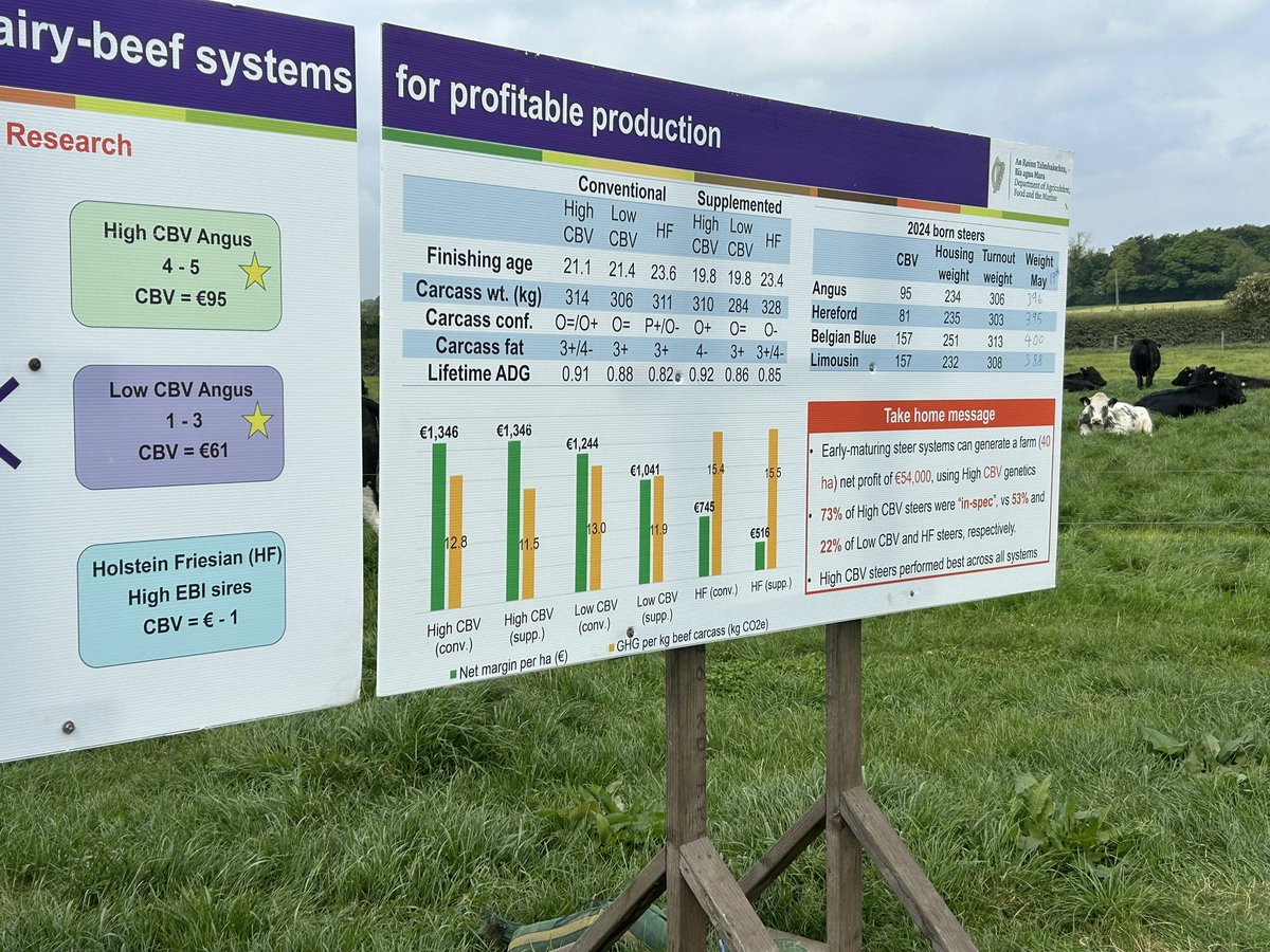Low CBV vs High CBV comparison on the dairy-beef system stand