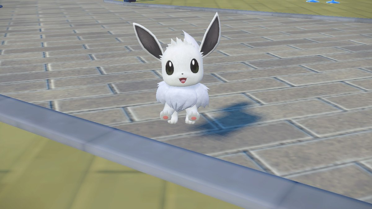 이브이 발바닥🐾