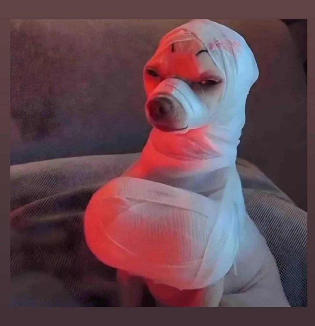 Mory4x's tweet image. دخترا وقتی پول درشت دستشون میاد