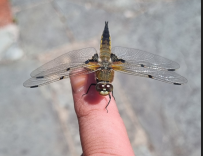 Kerry Biosphere Reserve tweet media