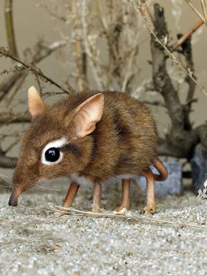 het ventje tweet media