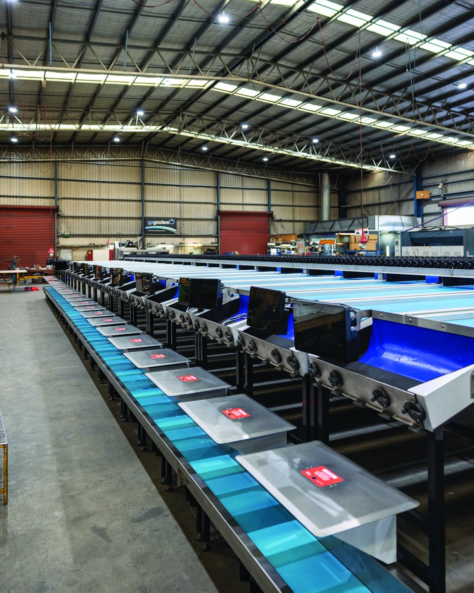 GPGraders's tweet image. A Victorian tomato grower is soon to be reaping the benefits of gpVision™ and it’s remarkable defect detection capability.
--
#TomatoSorting #DefectDetection #SuperiorSortingTechnology #gpVision #VisionSorting