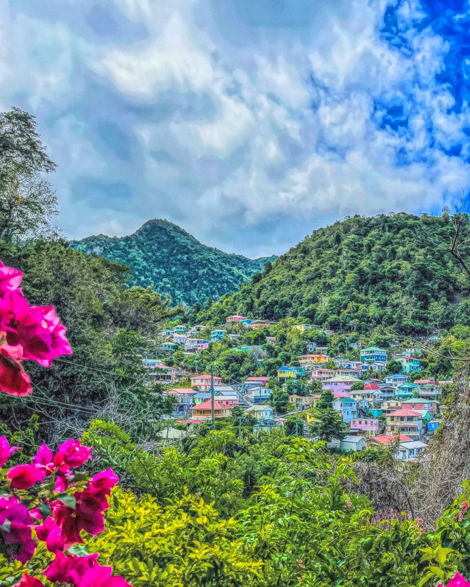 dominica_of's tweet photo. #Beautiful #colourful side of #Dominica. ❤️🧡💚💙💜
#Caribbean #nature #island #colors #colorfully #naturephotography #TwitterNatureCommunity #travelphotography #photo #photos #photography #images #picoftheday #travel #TravelTuesday #passport #visafree #CitizenshipByInvestment https://t.co/93tma7oyDA