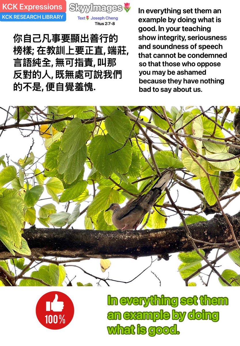 KckLibrary's tweet image. #SkyyImages #Photos #Philosophy 🙏