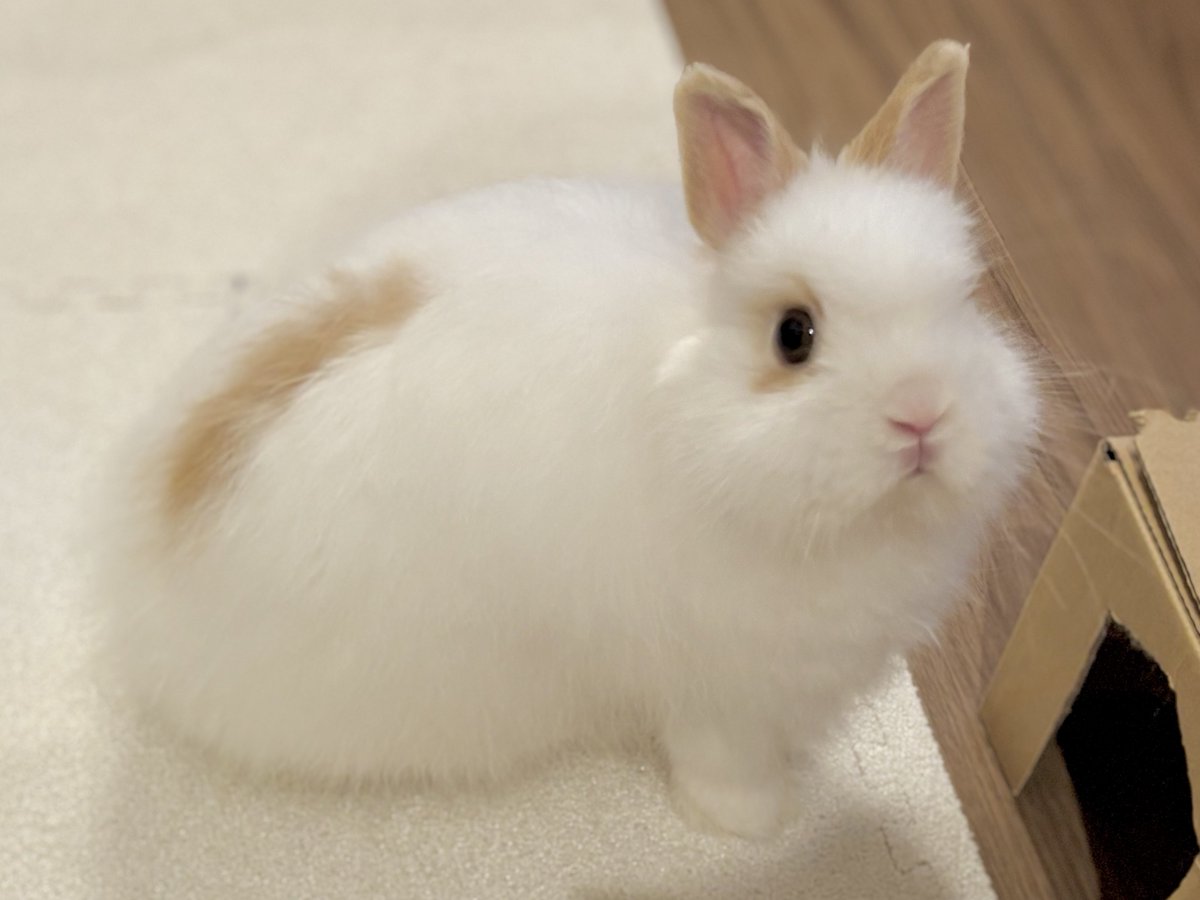 ぷっくりほっぺ🧡