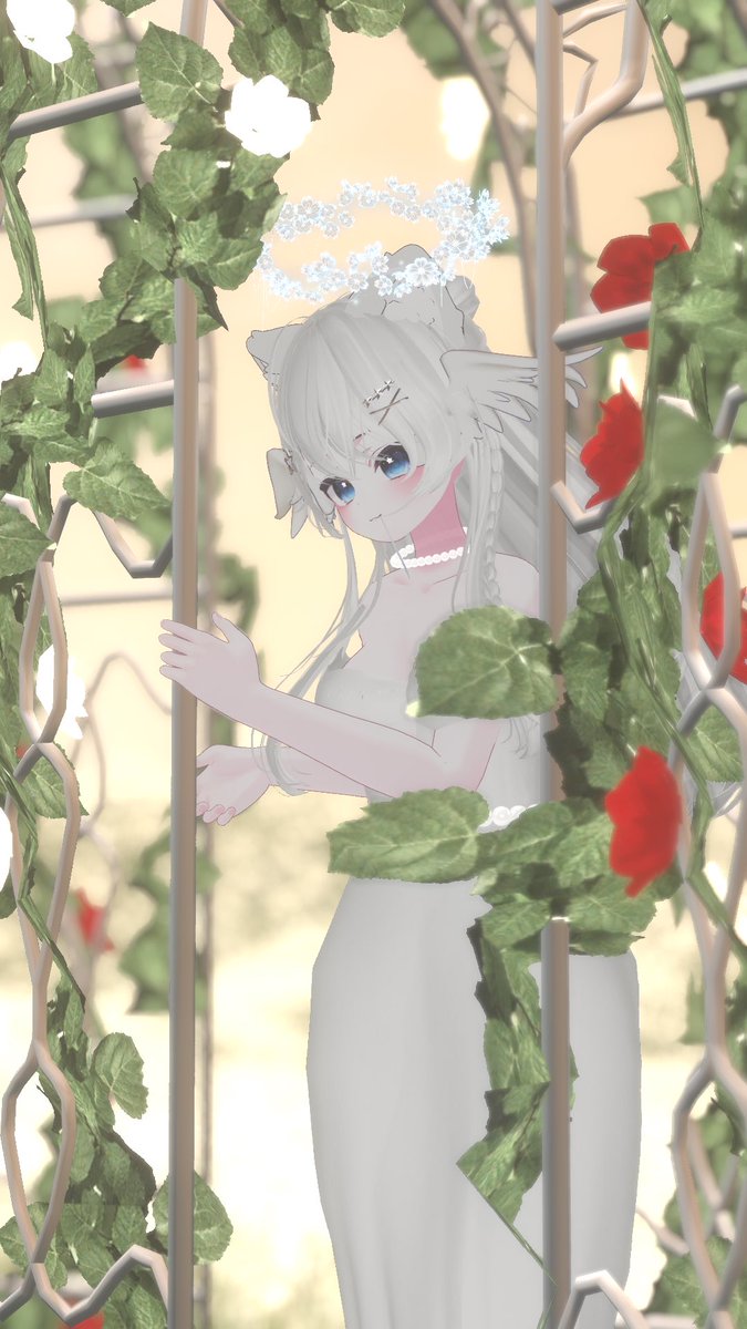 今晚8:50入場 好緊張啊啊啊🫨
要來看我！結婚！喝酒！畢業！