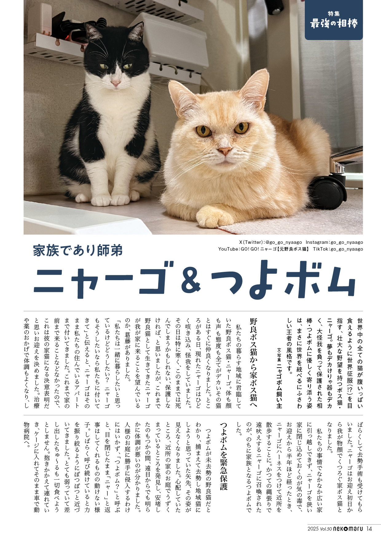 Zuttto Kimama Neko Cat Photo Picture Art Book 96 Pages Soft