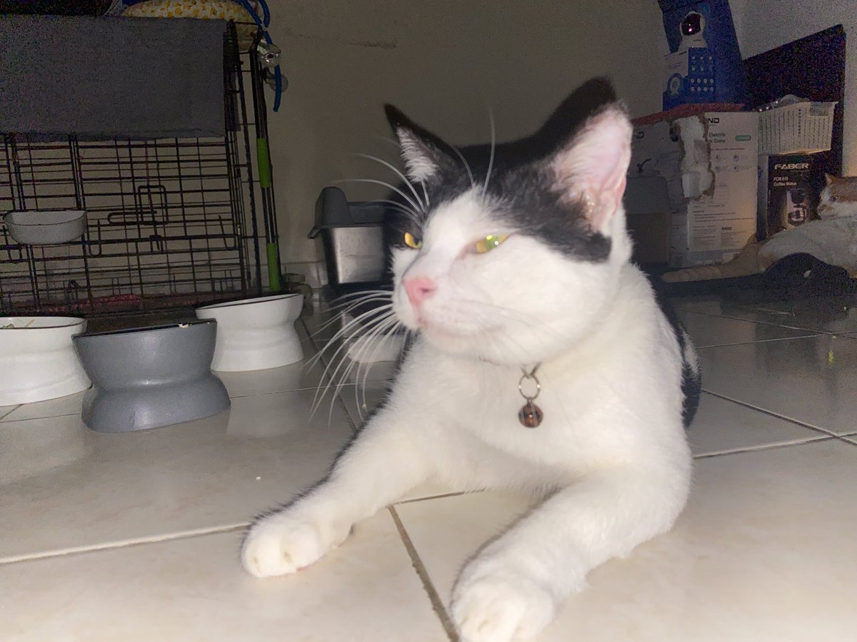 Semorang asyik buli yoyo je. Yoyo dah 4 hari puasa onty..