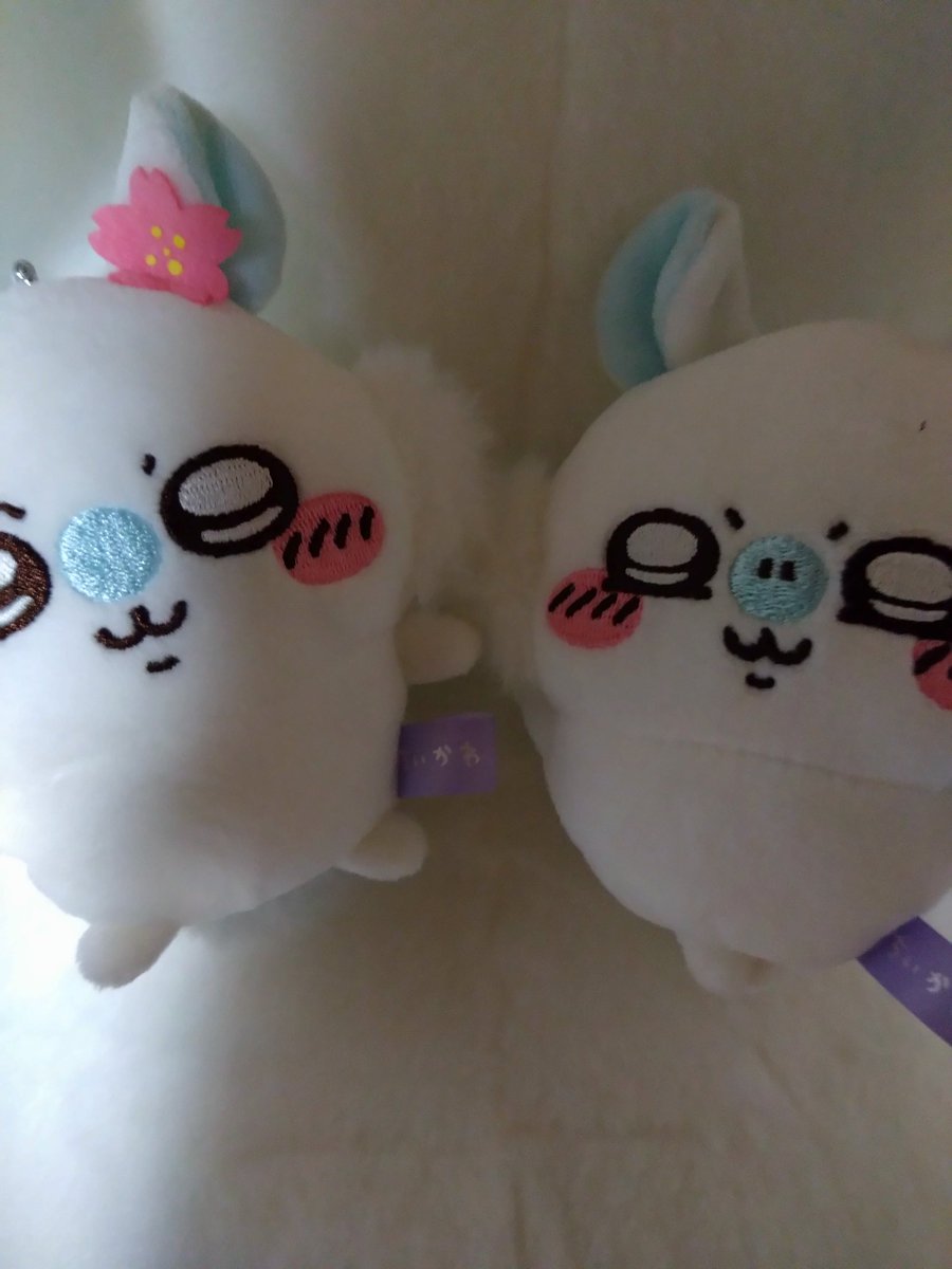 sndnnnn27's tweet photo. モモンガくじの届いたけど全部かわいい🩵🩵 https://t.co/GXpWtAma0l