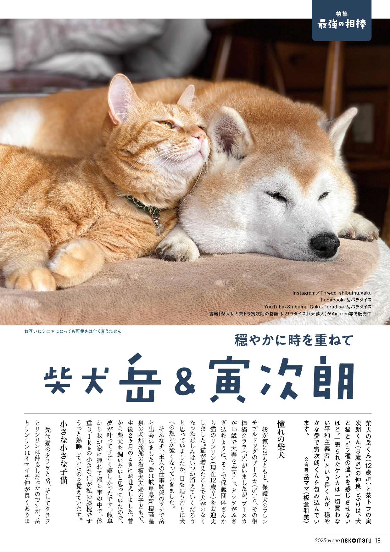 猫びより＠『猫びより』春号発売中！ (@nekobiyori_jp) / X