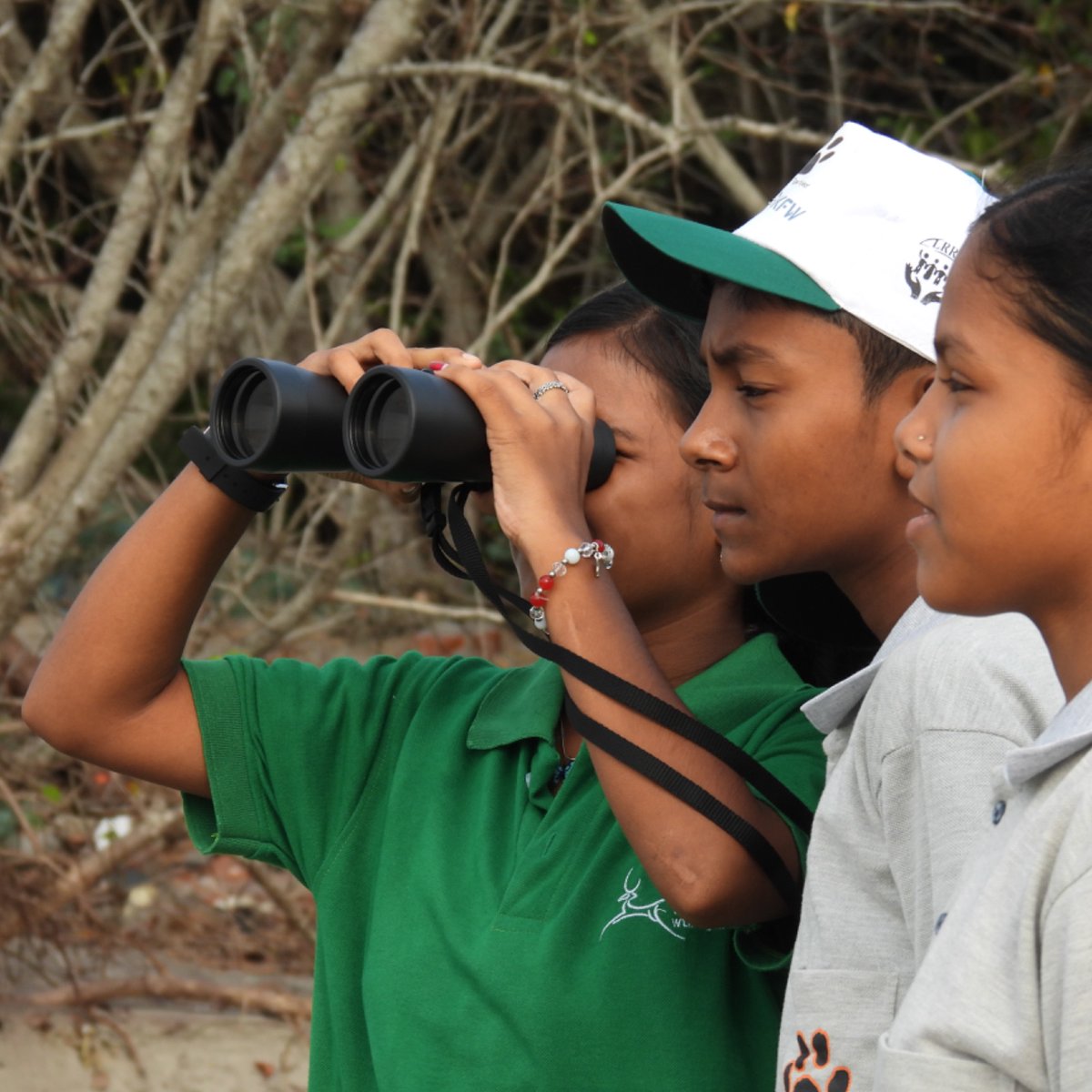 Wildlife Trust of India (@wti_org_india) on Twitter photo #WTI in collaboration with <a href="/LRRMission/">Rashmoni Mission</a> organised an awareness program for Tiger Scouts of Ambikagagar Haripriya High School (H.S) from 17-18 May at Bokkhal, Sundarbans #WestBengal. Activities included nature walks & bird watching sessions. #WTI in collaboration with <a href="/LRRMission/">Rashmoni Mission</a> organised an awareness program for Tiger Scouts of Ambikagagar Haripriya High School (H.S) from 17-18 May at Bokkhal, Sundarbans #WestBengal. Activities included nature walks & bird watching sessions.
