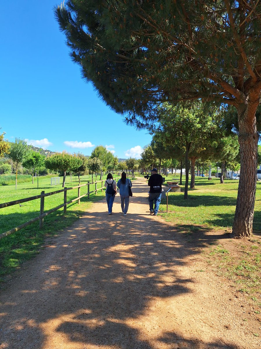 Turisme Baix Empordà tweet media