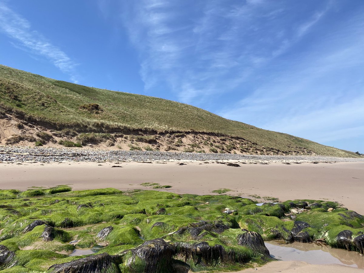 Karen Chamberlain tweet media