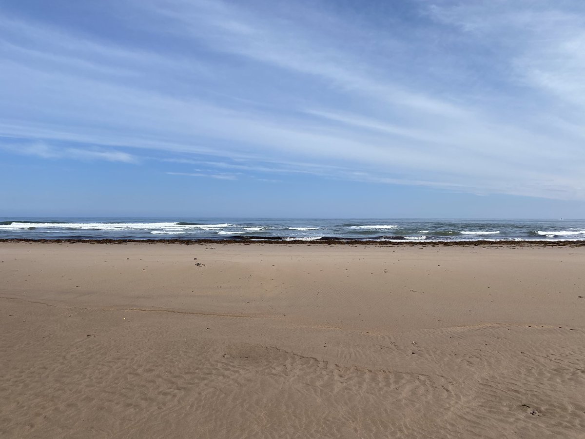 Karen Chamberlain tweet media